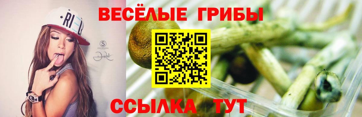 Псилоцибиновые грибы MAGIC MUSHROOMS Кимовск