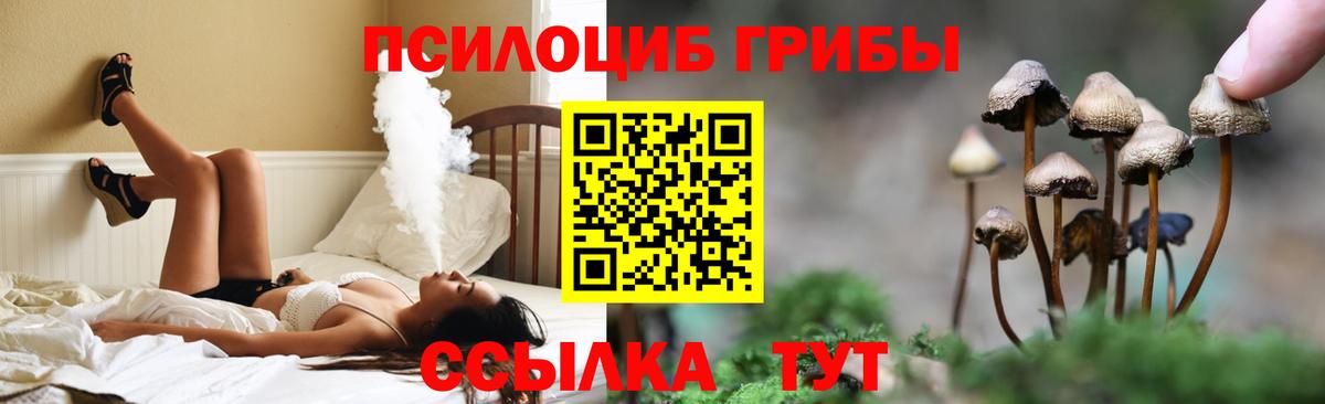 Кимовск  Псилоцибиновые грибы мицелий  наркота  Вход с VPN 